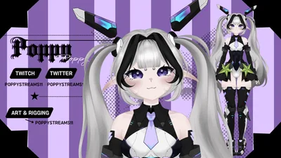 Cyber Model Package
