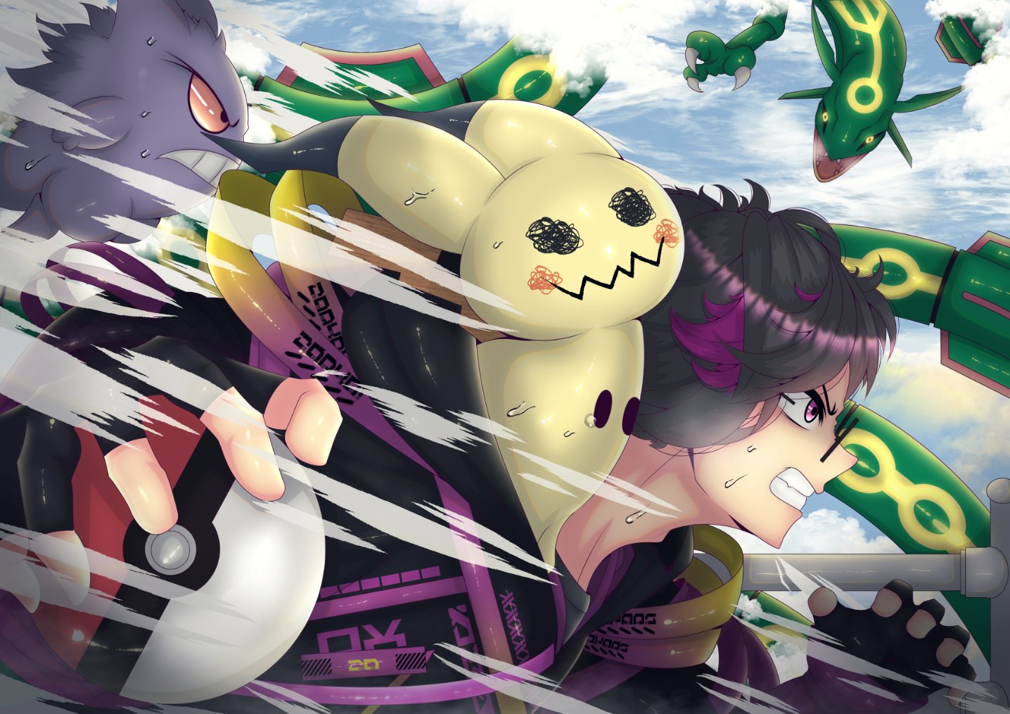 Me and my Team try to catch Rayquaza portfolio artwork