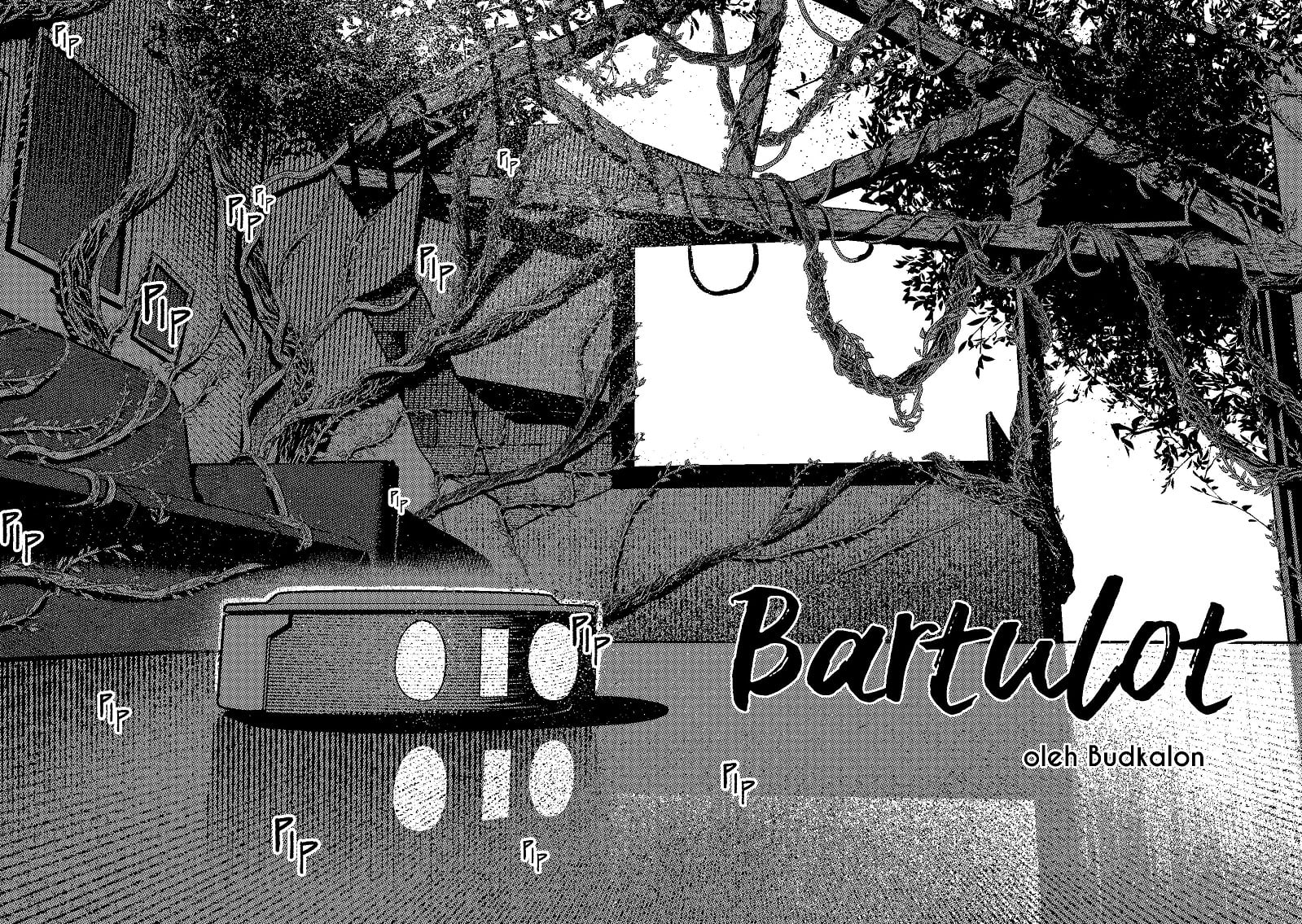 Bartulot portfolio artwork