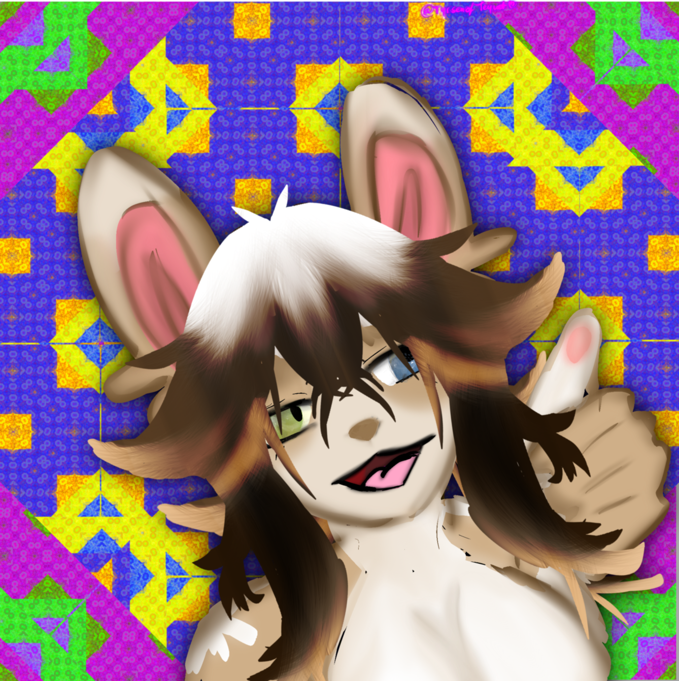 Artfight3 portfolio artwork