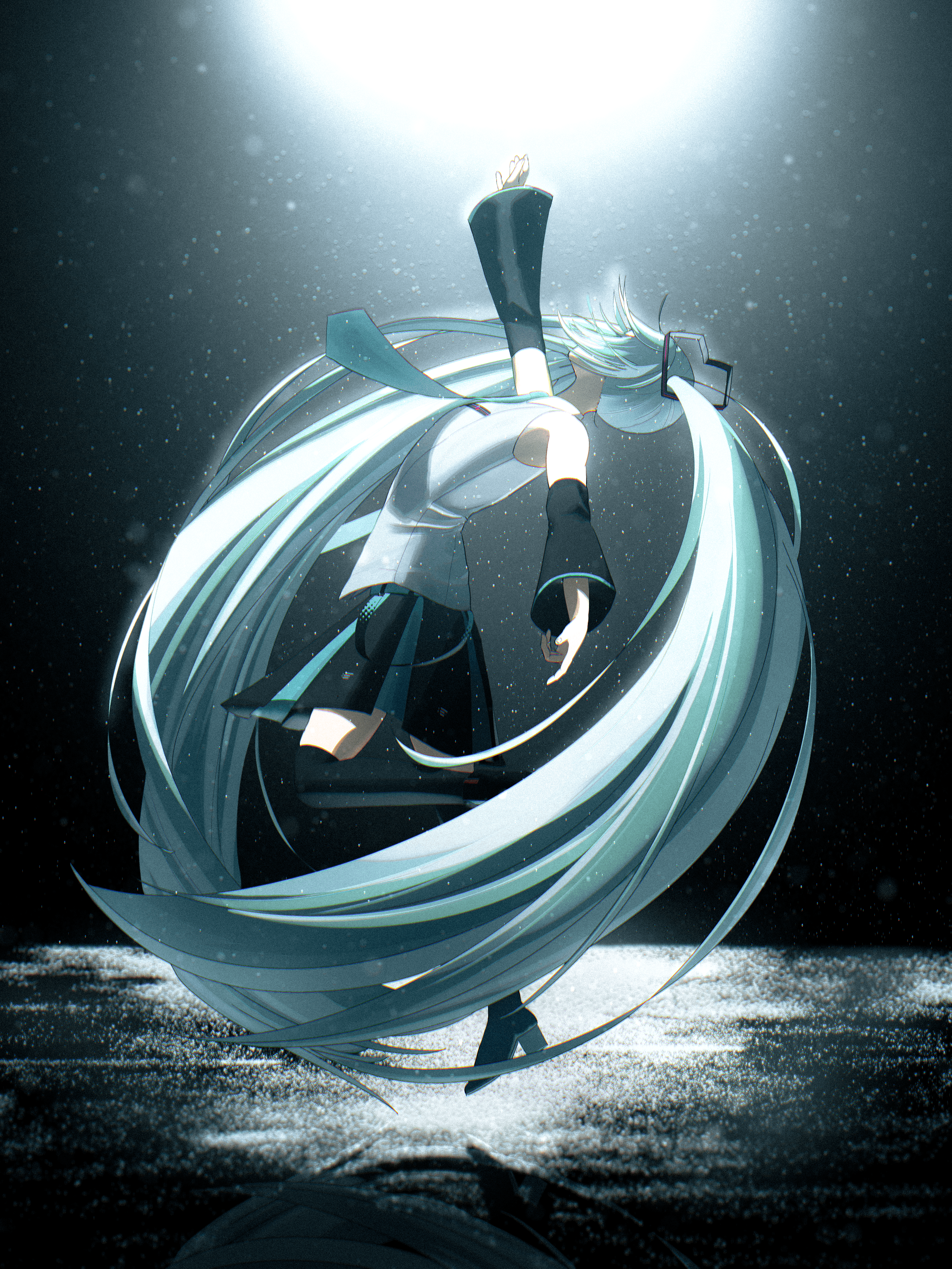 Hatsune Miku Full Body portfolio artwork